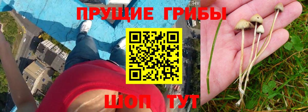 Галлюциногенные грибы мухоморы Нижний Новгород