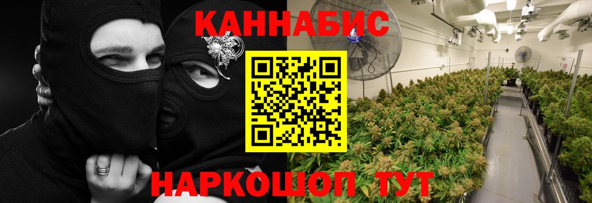 Канабис конопля  Вход с VPN  Нижний Новгород  Бошки марихуана Amnesia  Бошки марихуана индика 